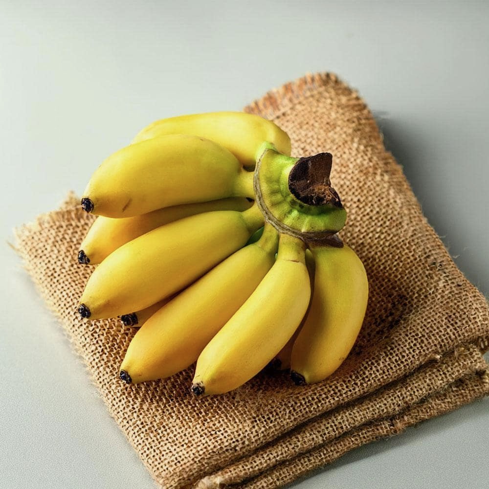 Ripe yellow bananas on burlap cloth