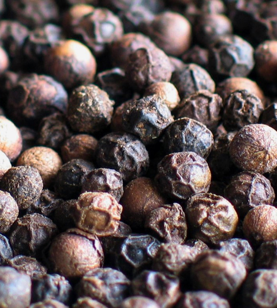 Premium black peppercorns showing high quality dried spice
