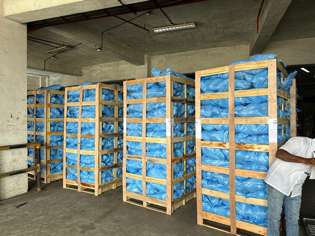 Professional coconut warehouse with organized wooden crates and blue-wrapped coconuts