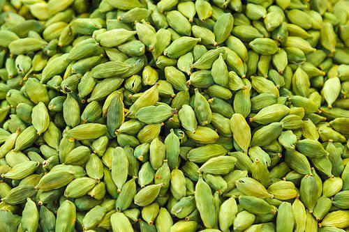 Fresh green cardamom pods showing premium quality spice